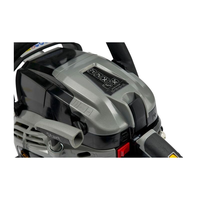 Motosega a scoppio Alpina